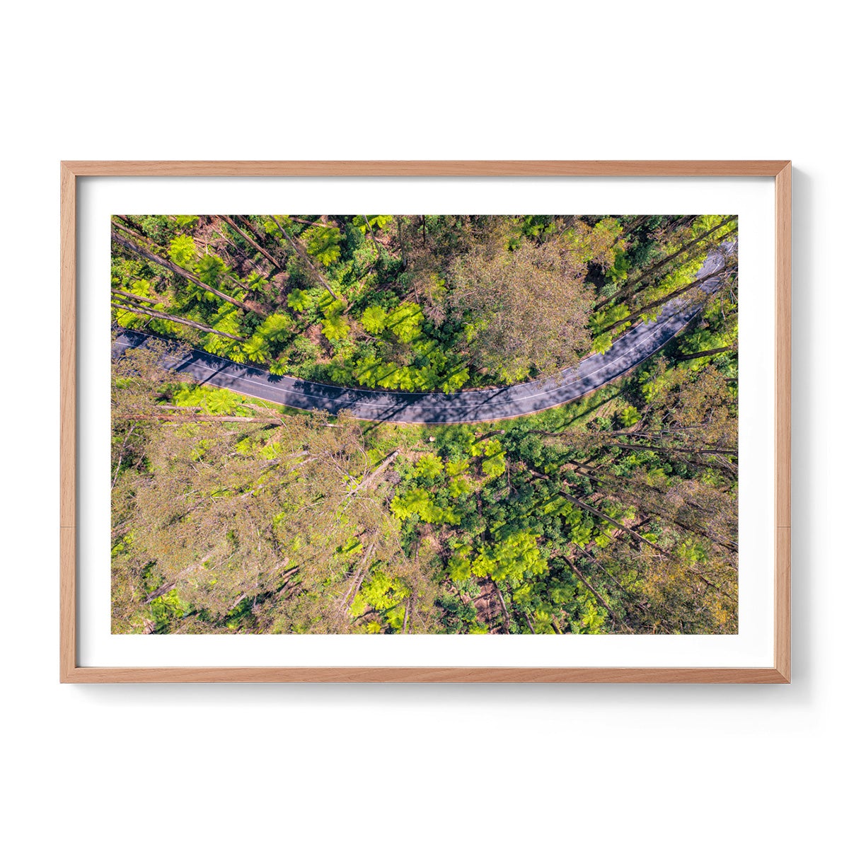 Black Spur Ribbon - Framed Print