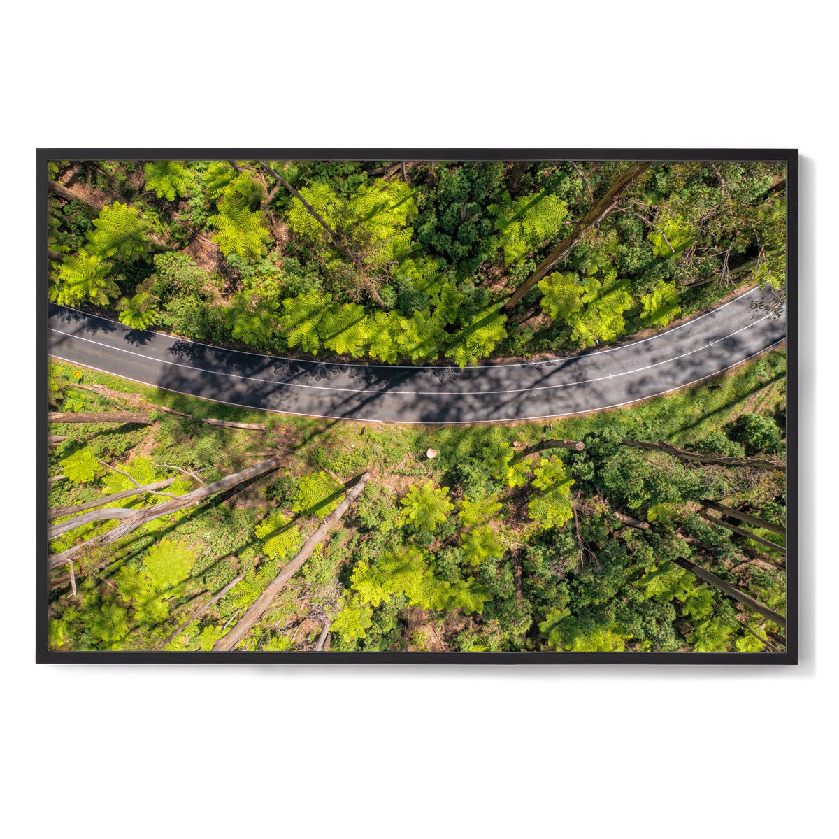 Black Spur Ribbon #2 - Framed Print