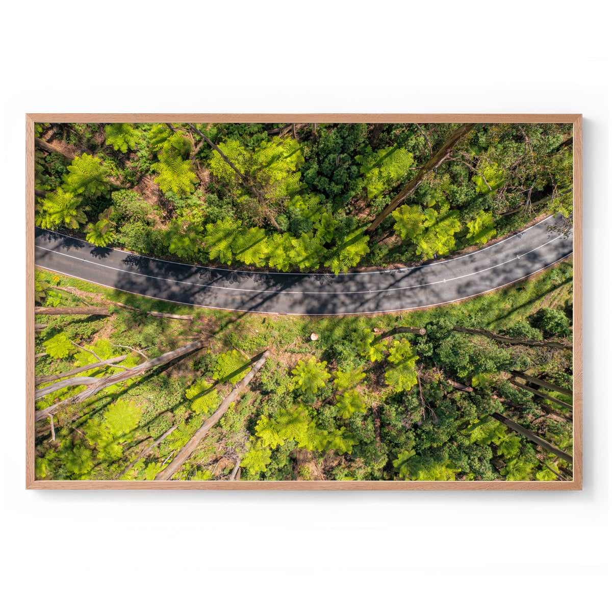 Black Spur Ribbon #2 - Framed Print