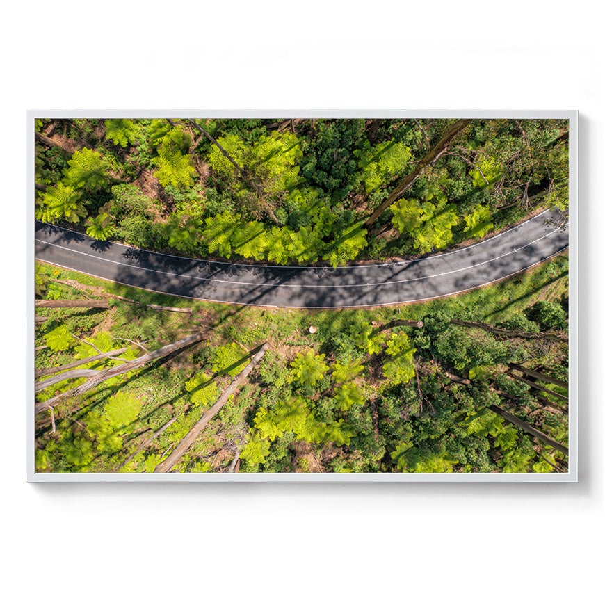 Black Spur Ribbon #2 - Framed Print