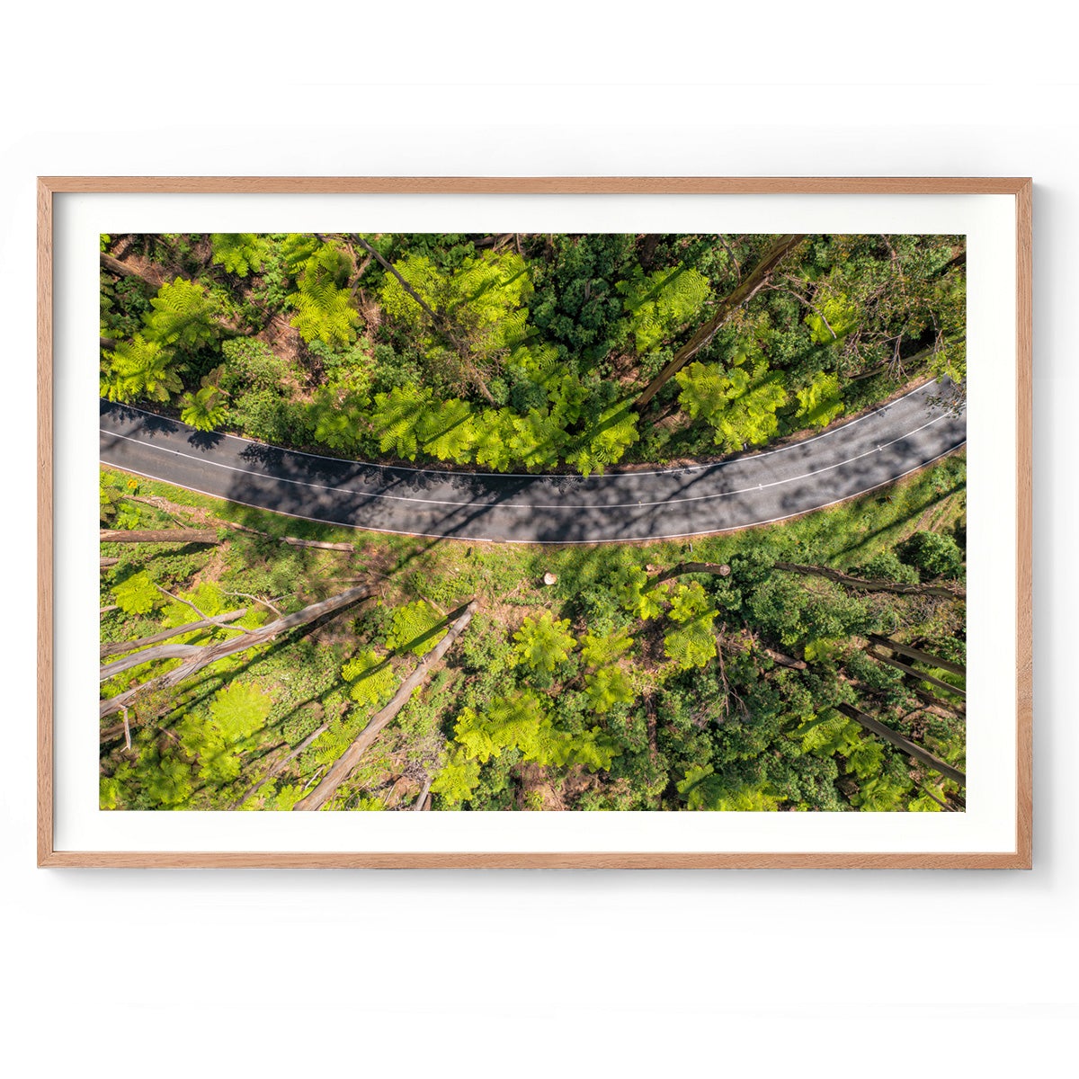 Black Spur Ribbon #2 - Framed Print