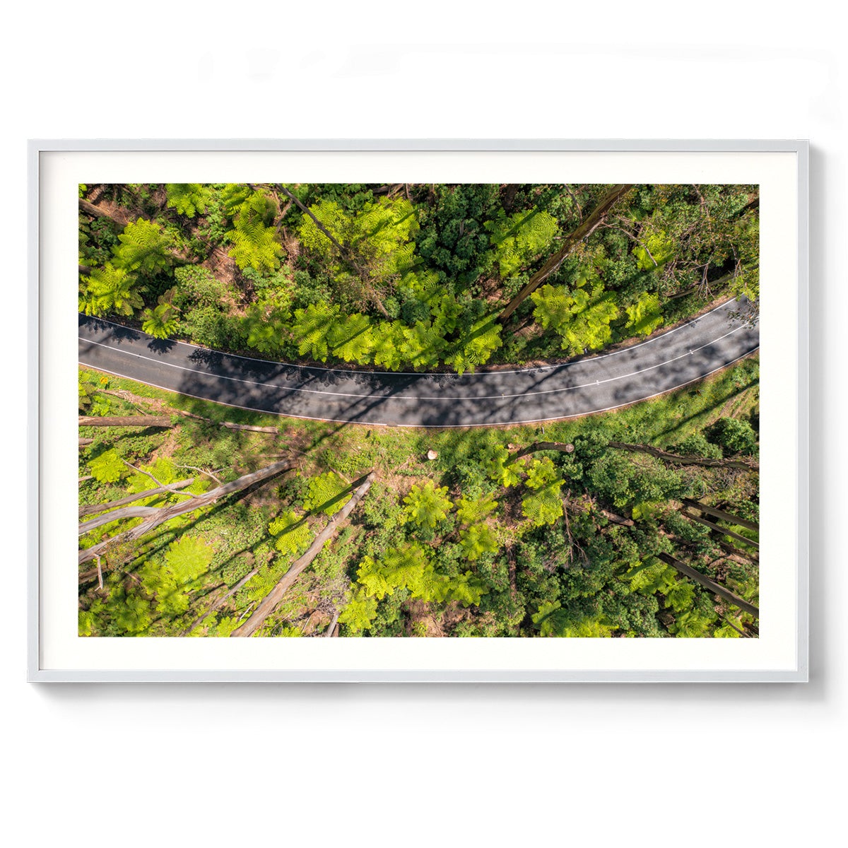 Black Spur Ribbon #2 - Framed Print