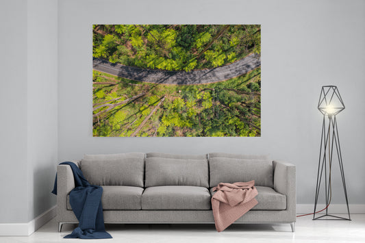 Black Spur Ribbon #2 - Acrylic Print