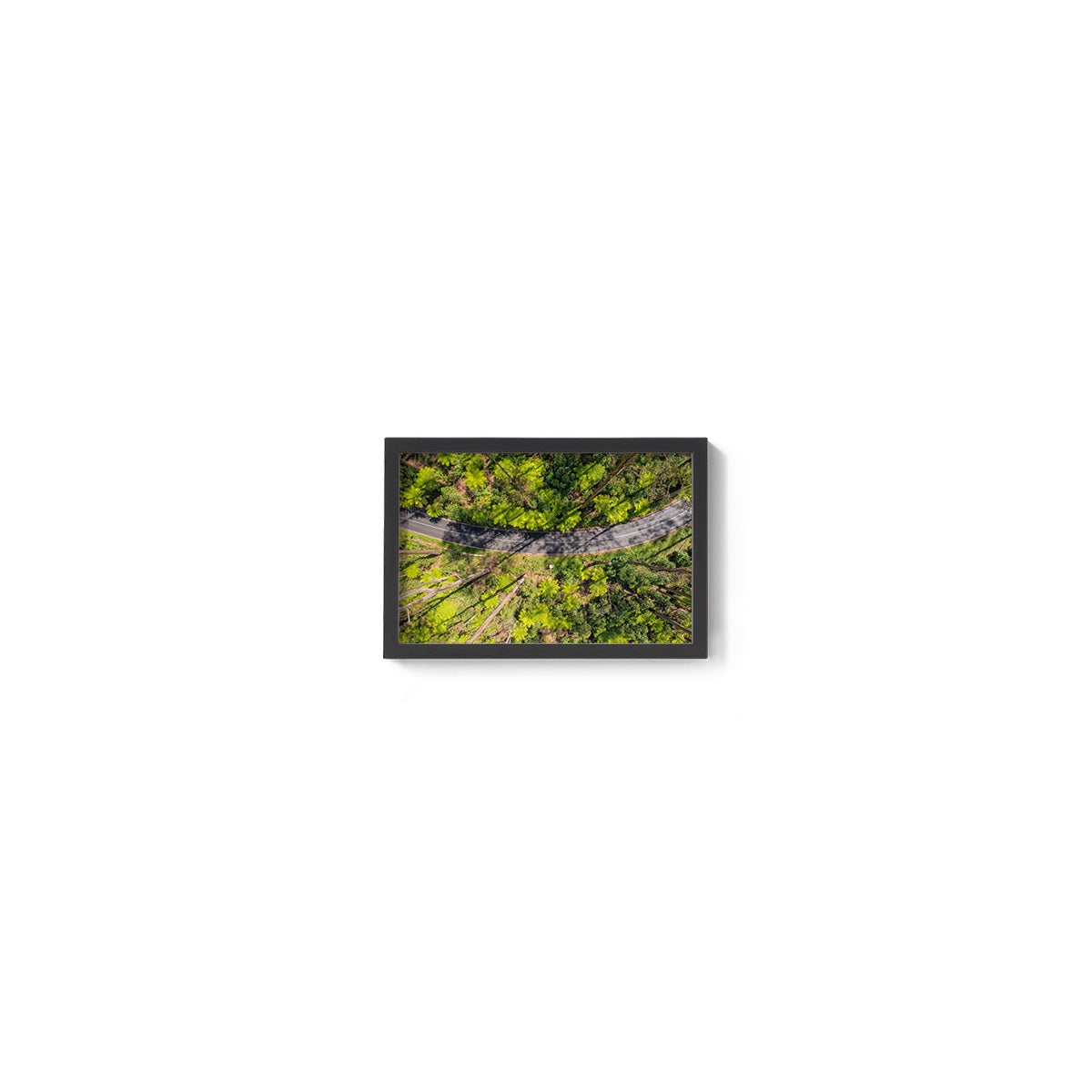 Black Spur Ribbon #2 - Framed Print