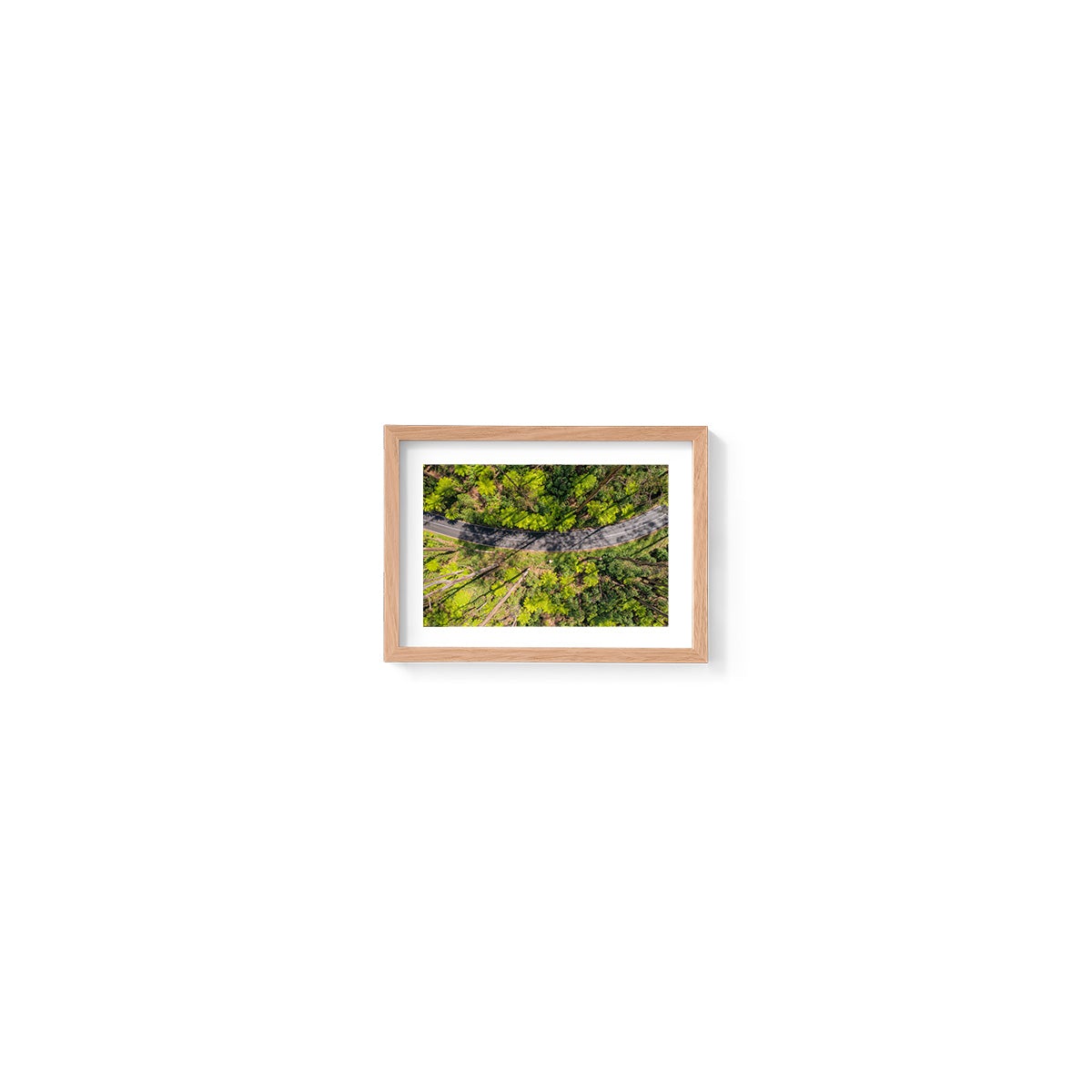 Black Spur Ribbon #2 - Framed Print