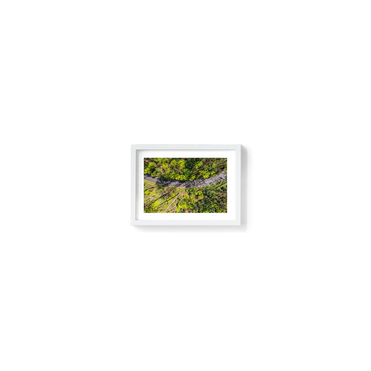 Black Spur Ribbon #2 - Framed Print