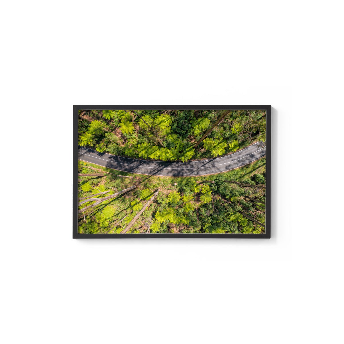 Black Spur Ribbon #2 - Framed Print