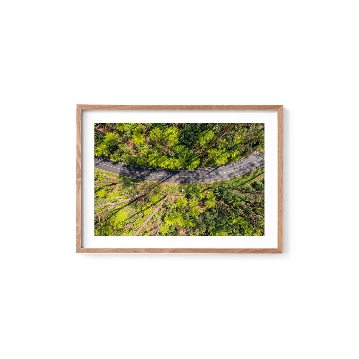 Black Spur Ribbon #2 - Framed Print