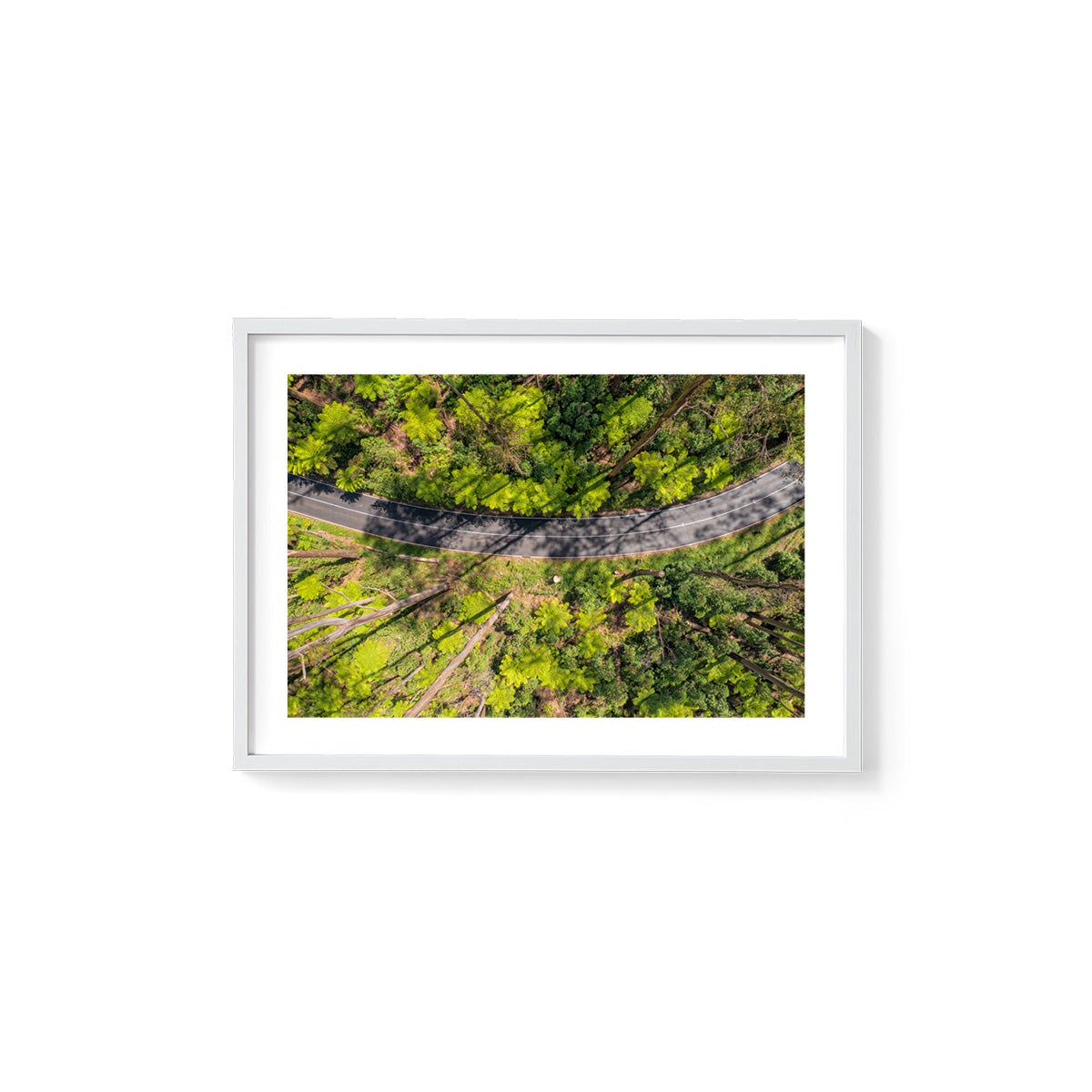 Black Spur Ribbon #2 - Framed Print