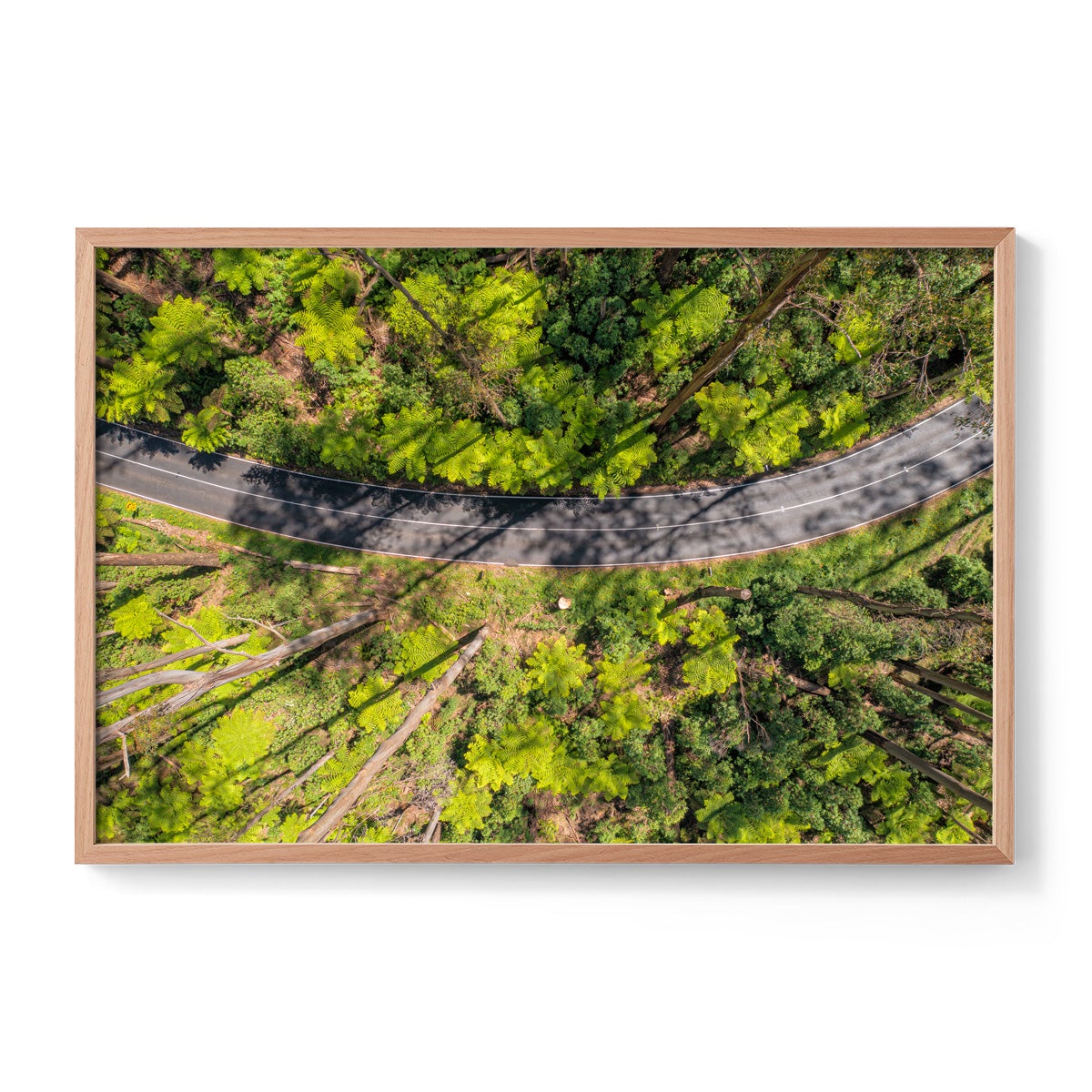 Black Spur Ribbon #2 - Framed Print