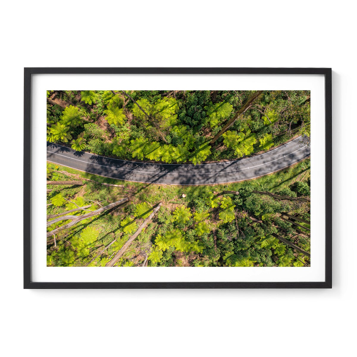 Black Spur Ribbon #2 - Framed Print