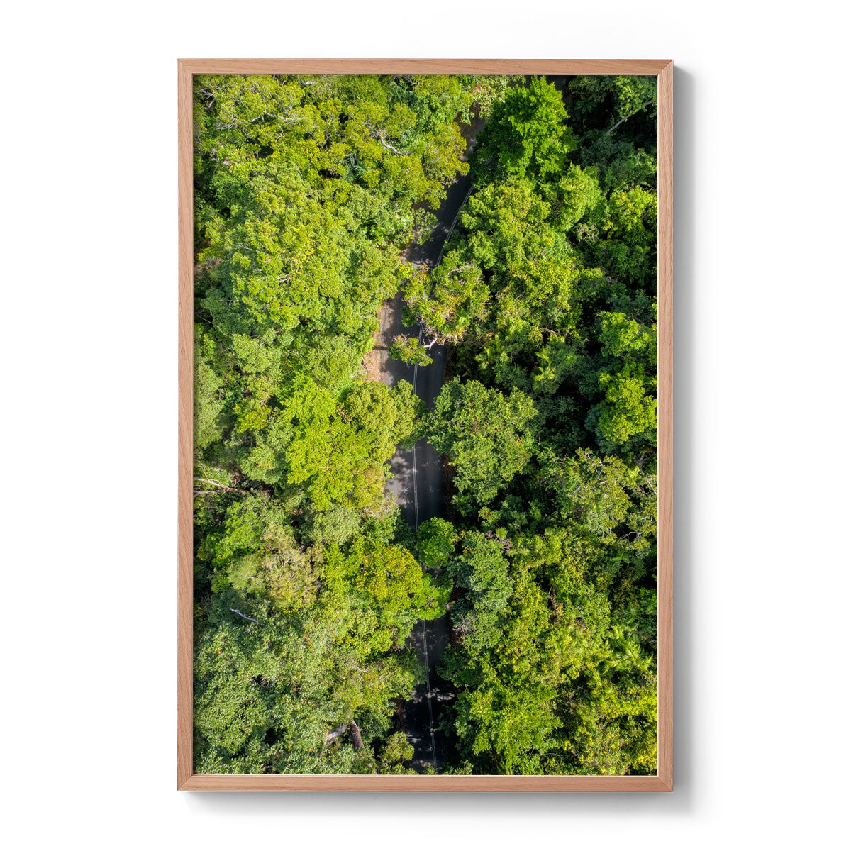 Cape Tribulation Road #2 - Framed Print