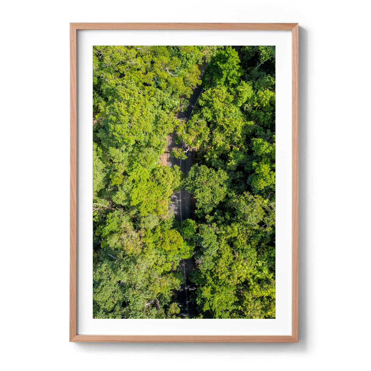 Cape Tribulation Road #2 - Framed Print