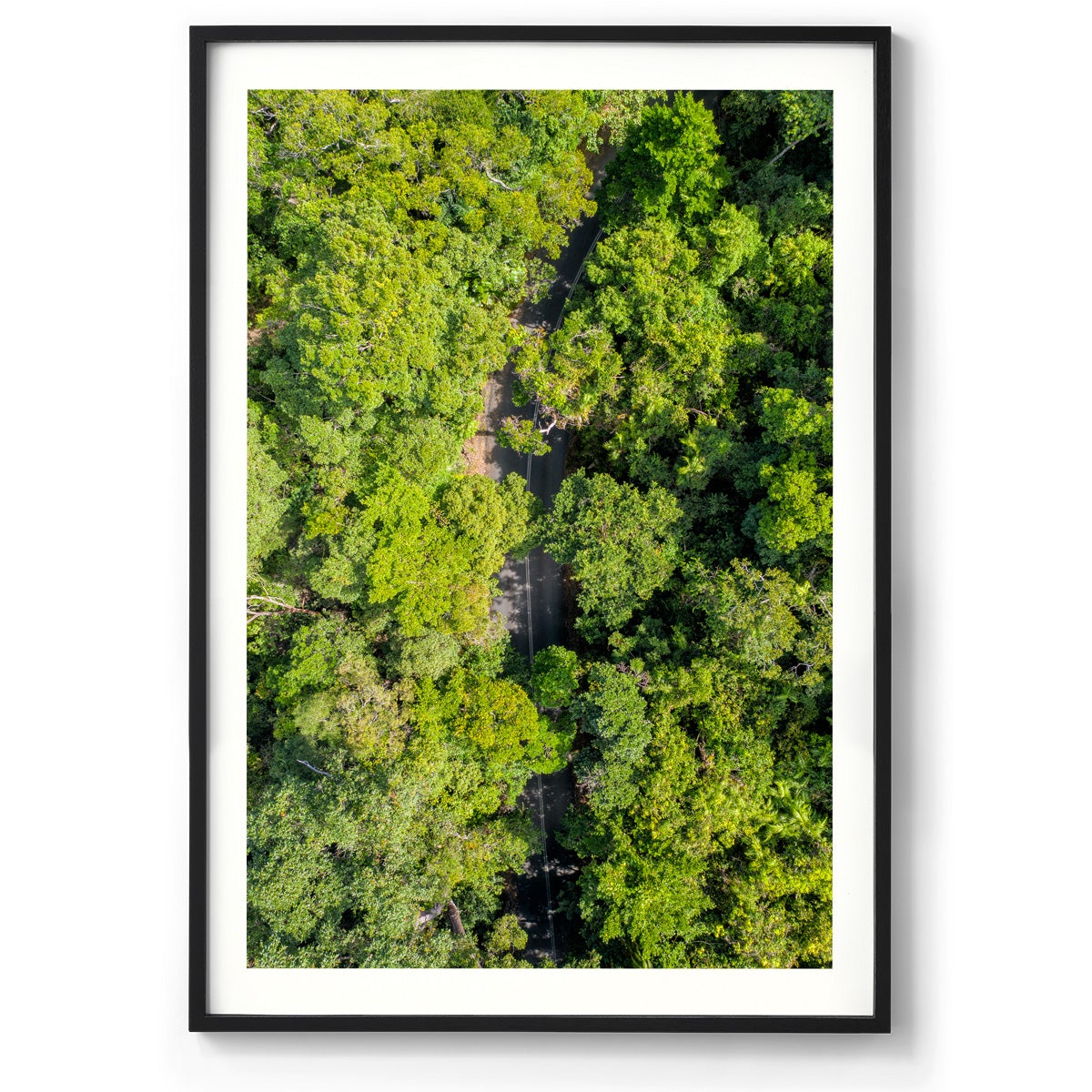 Cape Tribulation Road #2 - Framed Print