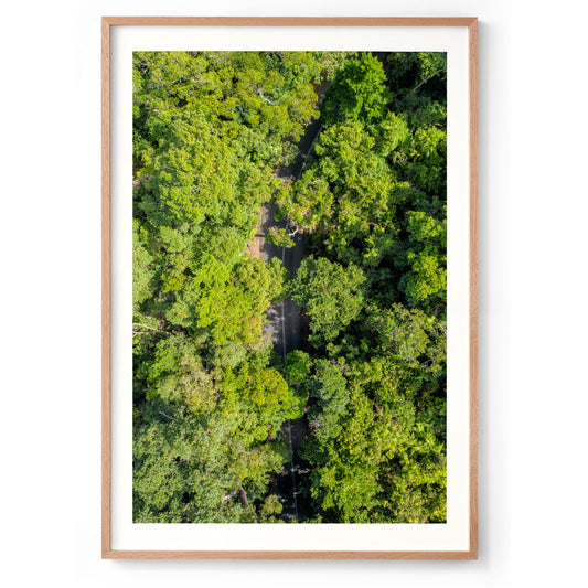 Cape Tribulation Road #2 - Framed Print