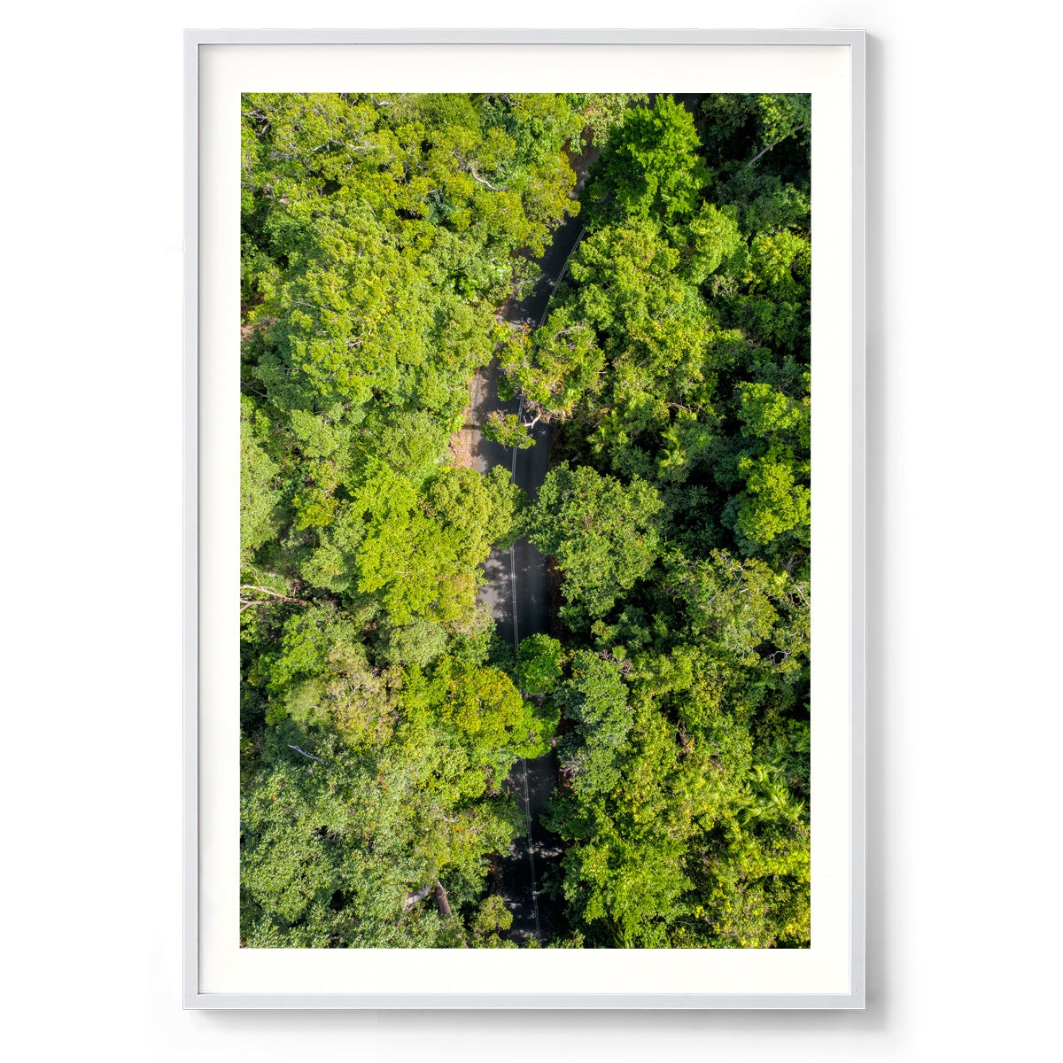 Cape Tribulation Road #2 - Framed Print