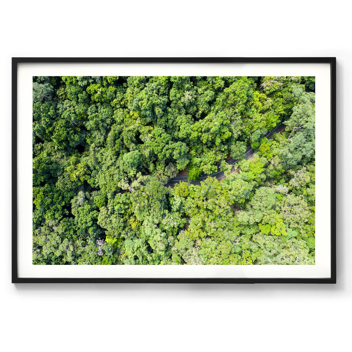 Cape Tribulation Road #3 - Framed Print