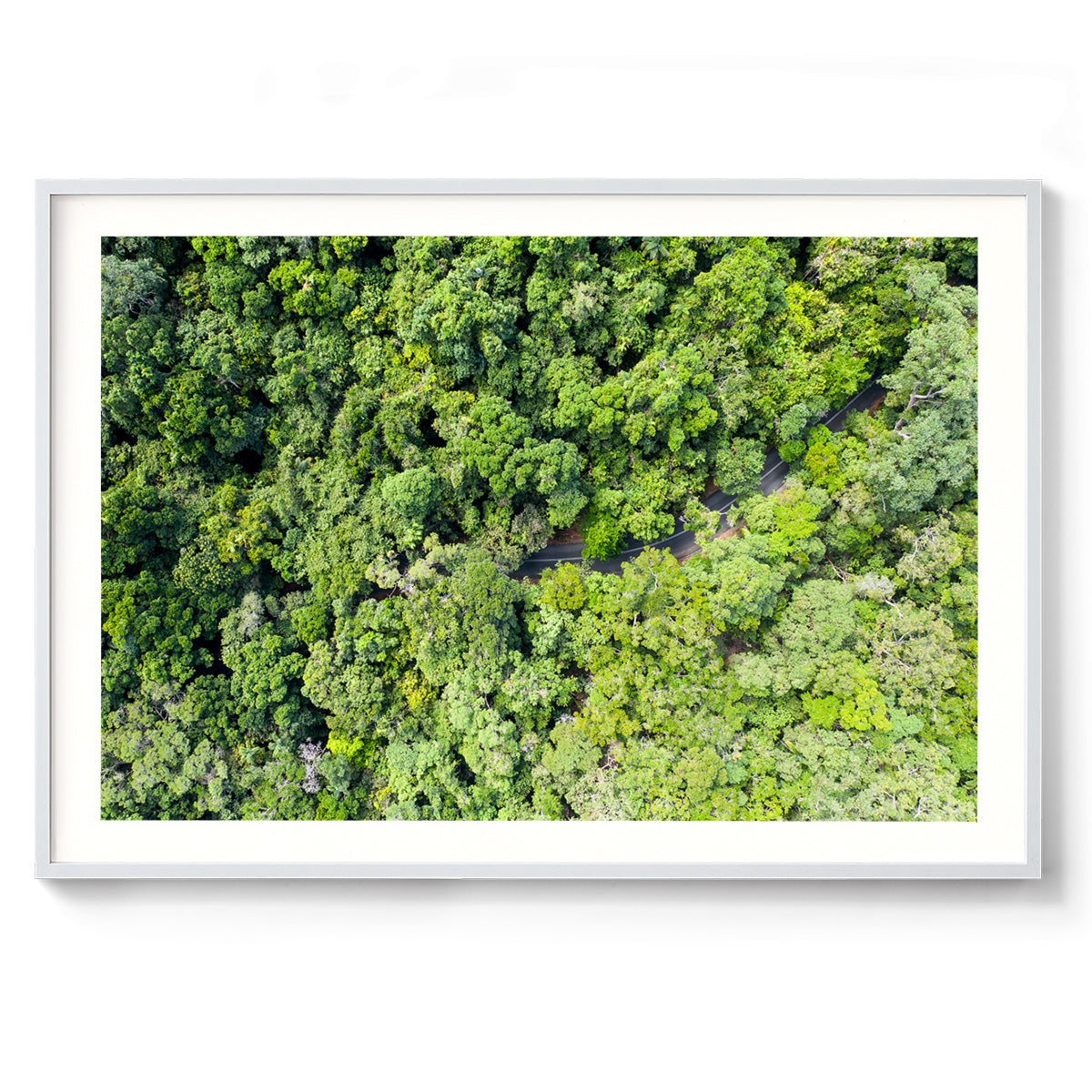 Cape Tribulation Road #3 - Framed Print