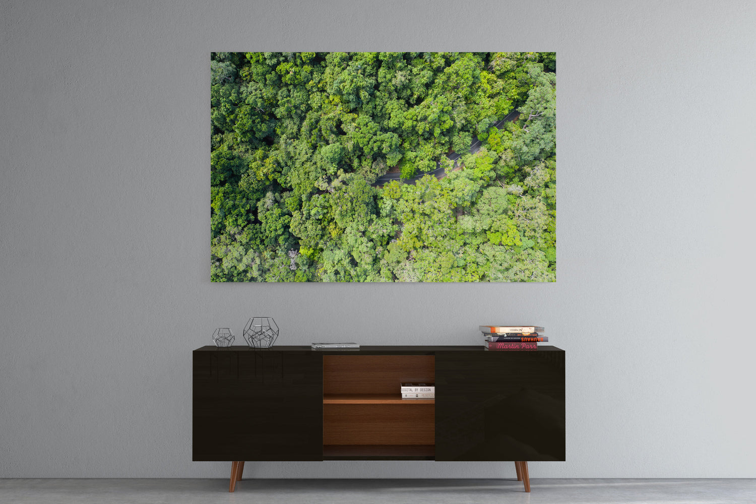 Cape Tribulation Road #3 - Acrylic Print