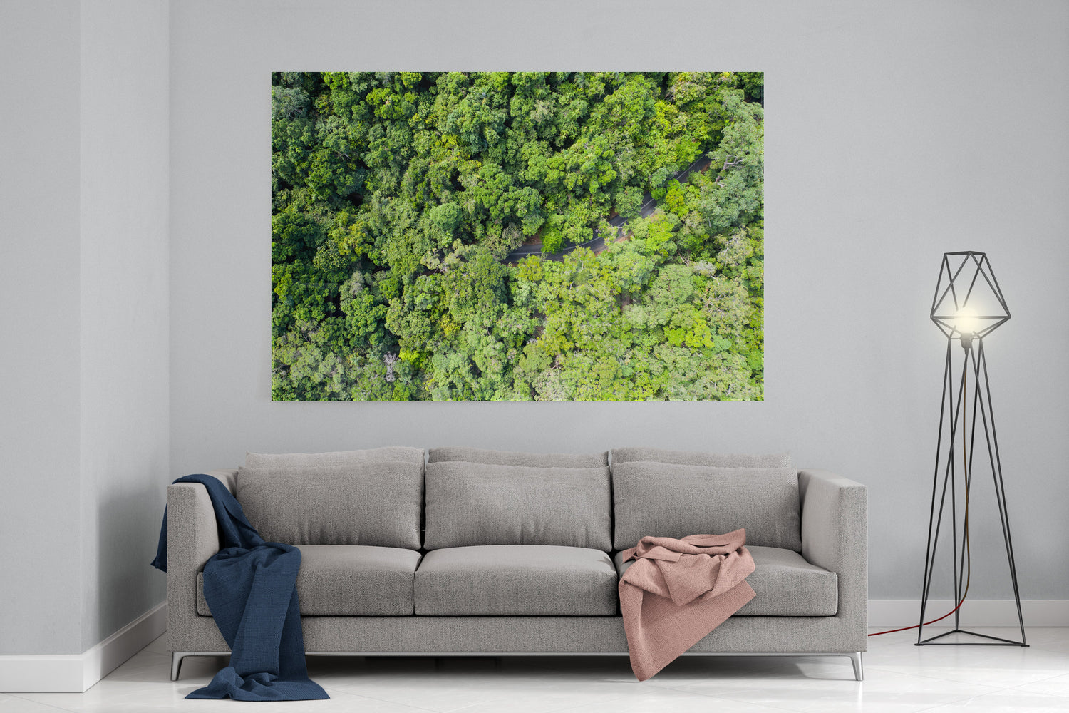 Cape Tribulation Road #3 - Acrylic Print