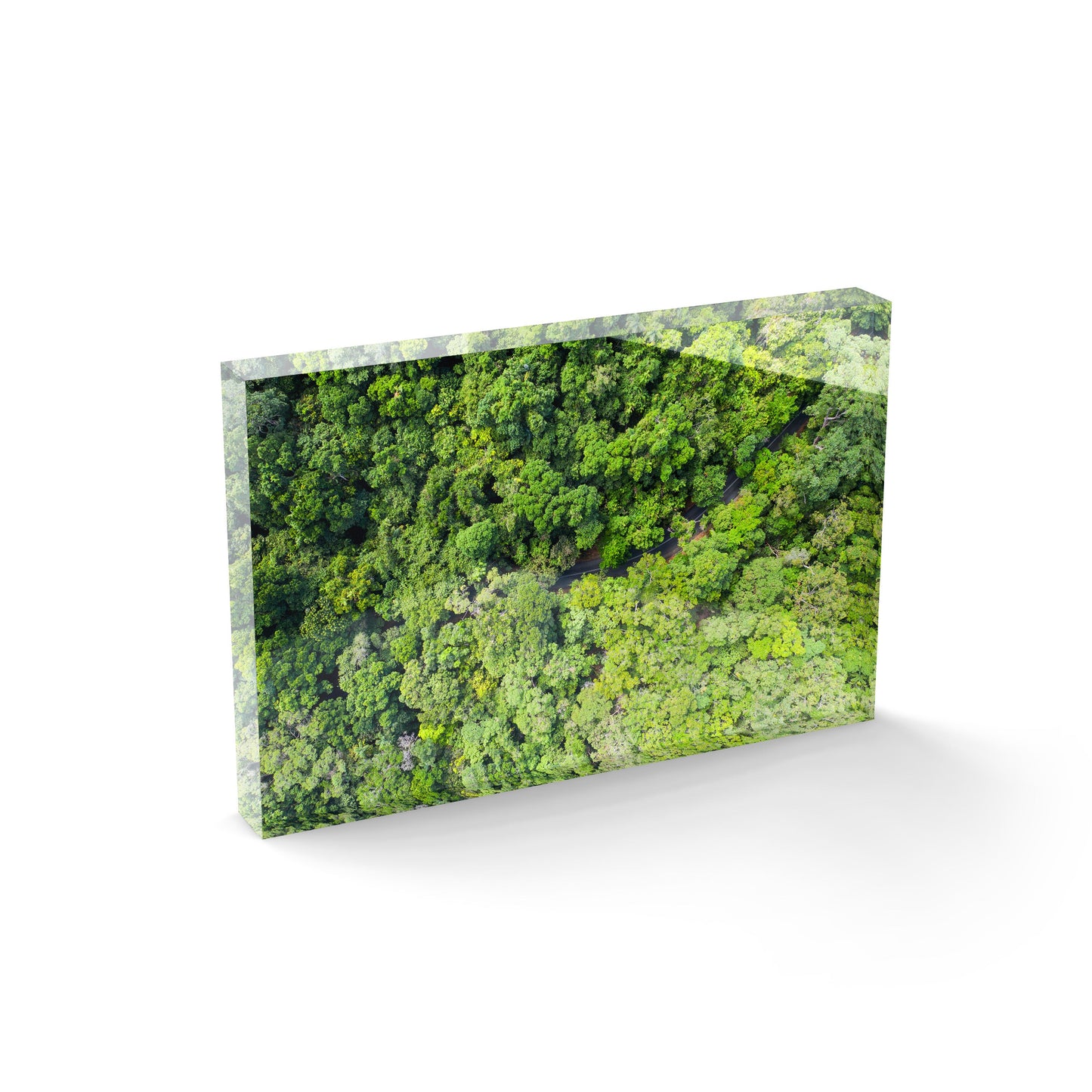 Cape Tribulation Road #3 - Acrylic ICE Block