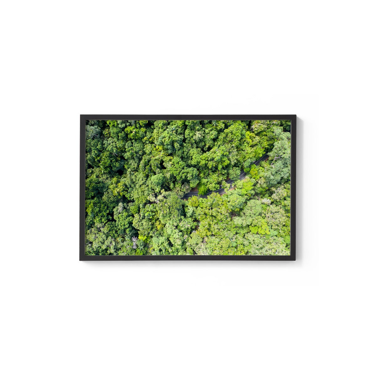 Cape Tribulation Road #3 - Framed Print