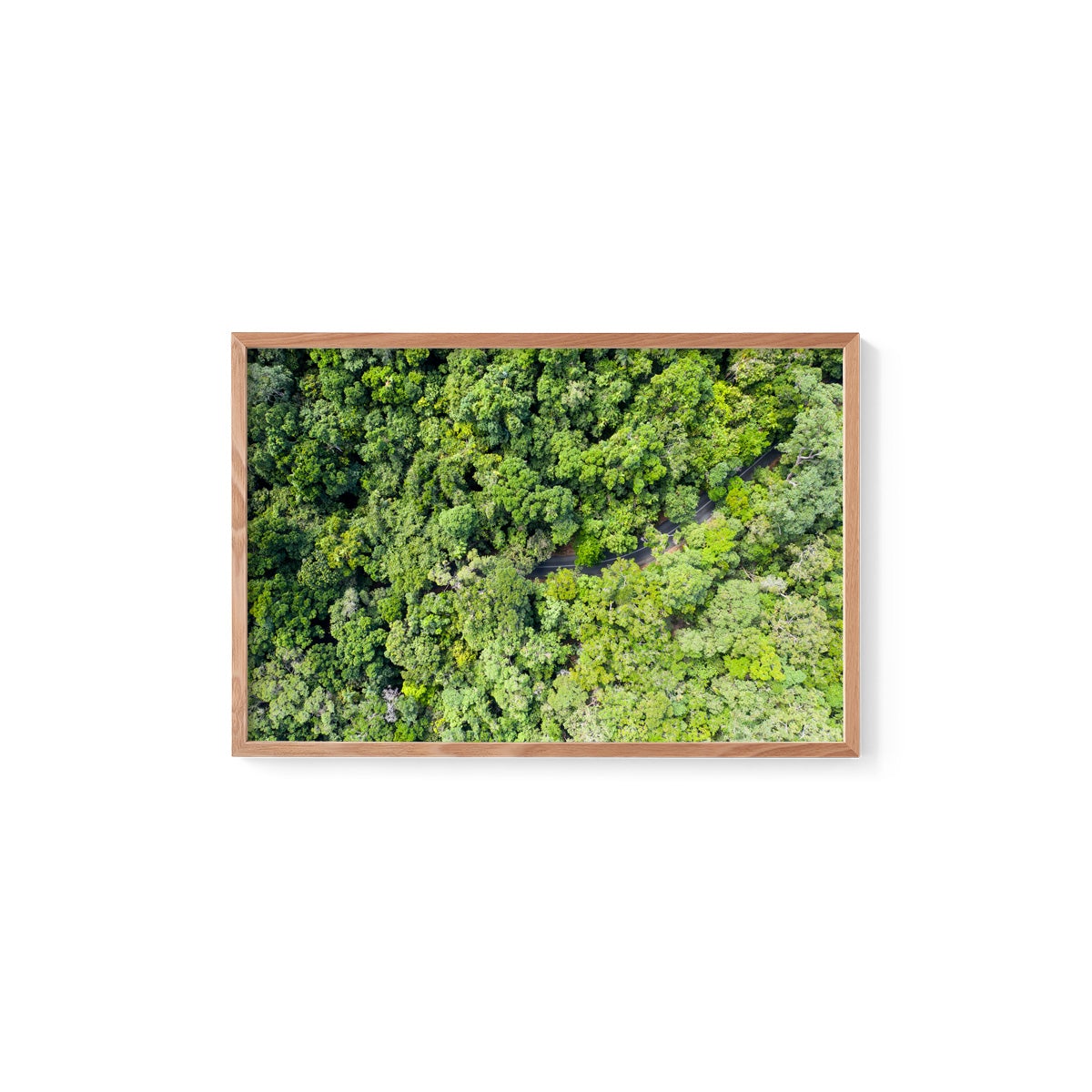 Cape Tribulation Road #3 - Framed Print