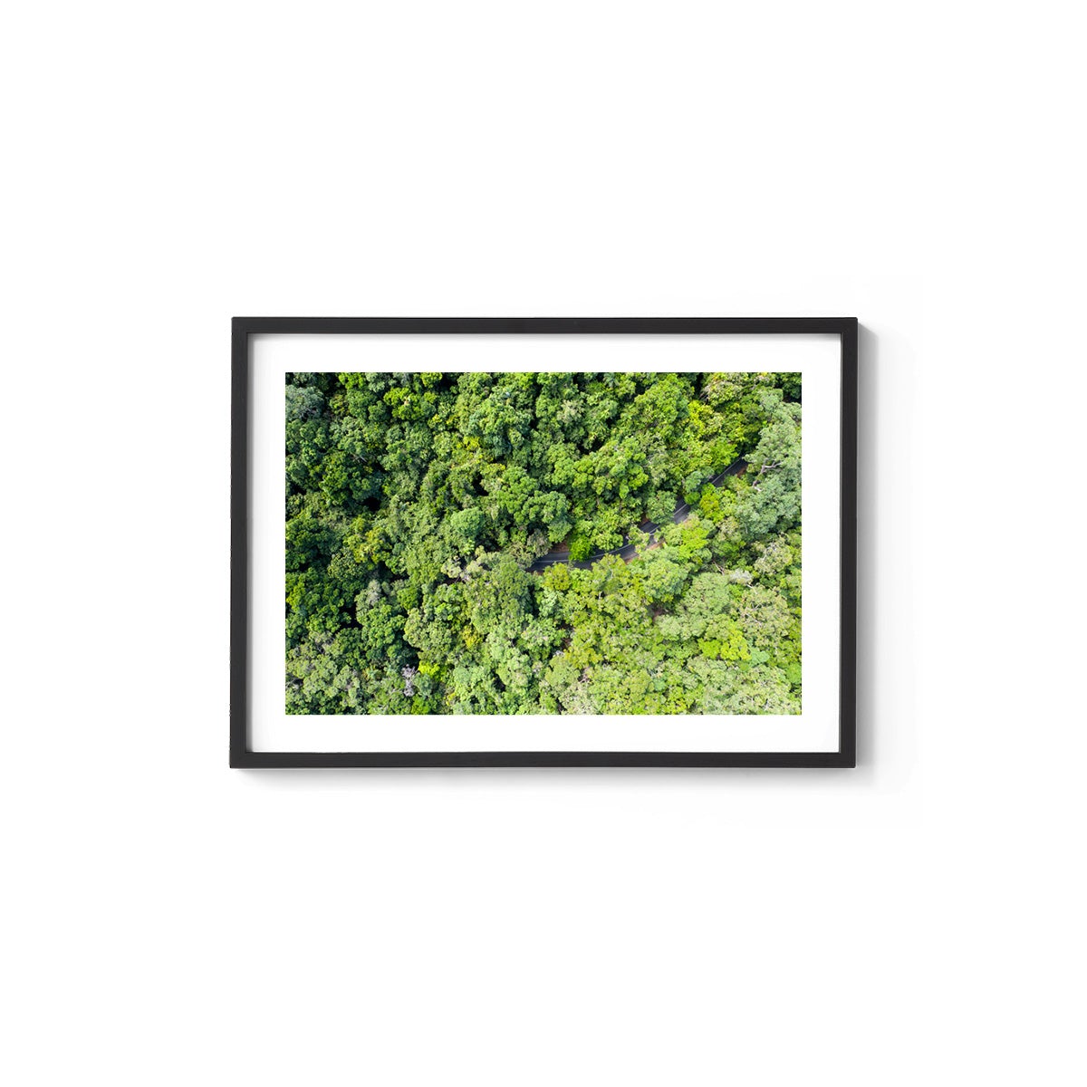 Cape Tribulation Road #3 - Framed Print