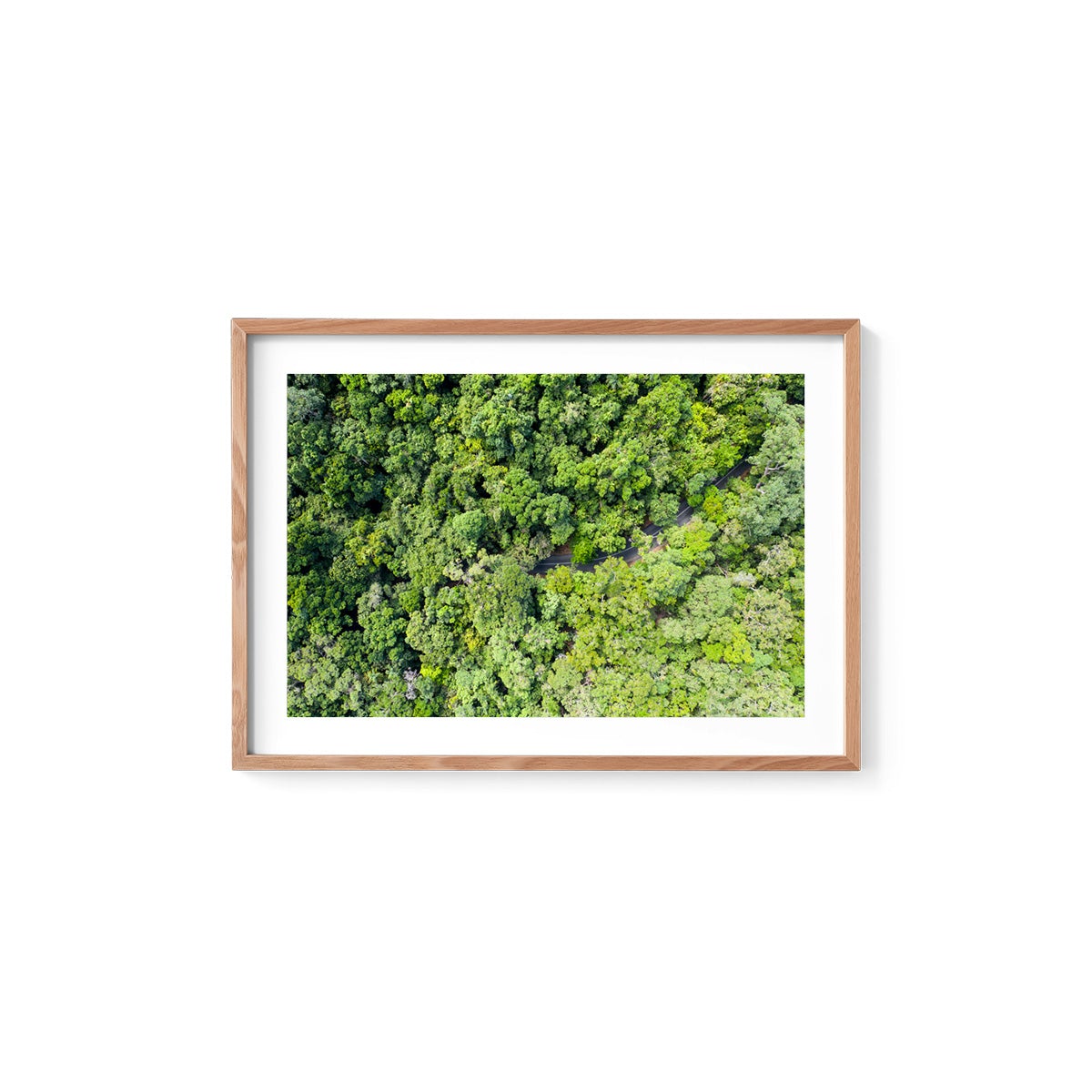 Cape Tribulation Road #3 - Framed Print