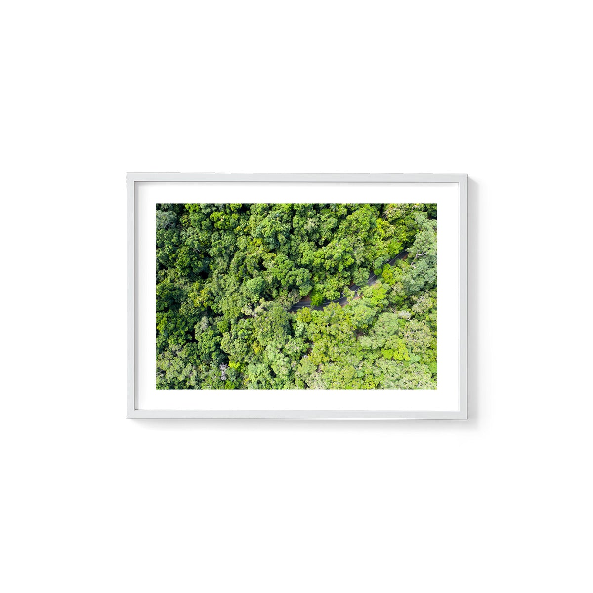 Cape Tribulation Road #3 - Framed Print