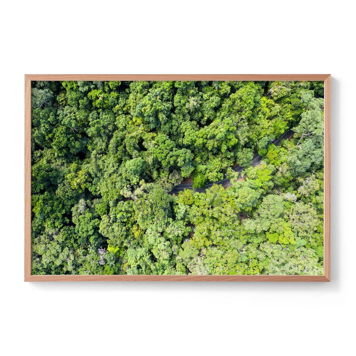 Cape Tribulation Road #3 - Framed Print