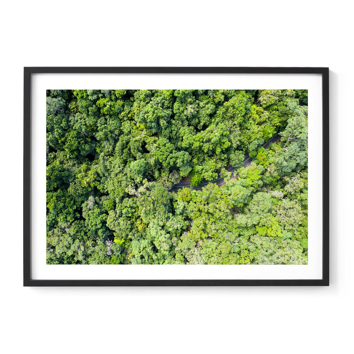 Cape Tribulation Road #3 - Framed Print