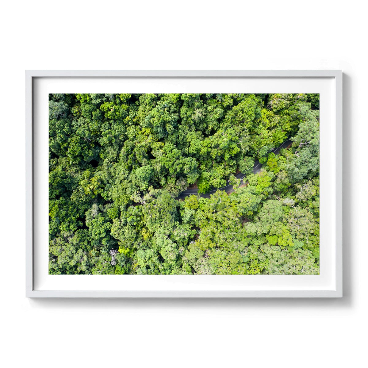 Cape Tribulation Road #3 - Framed Print