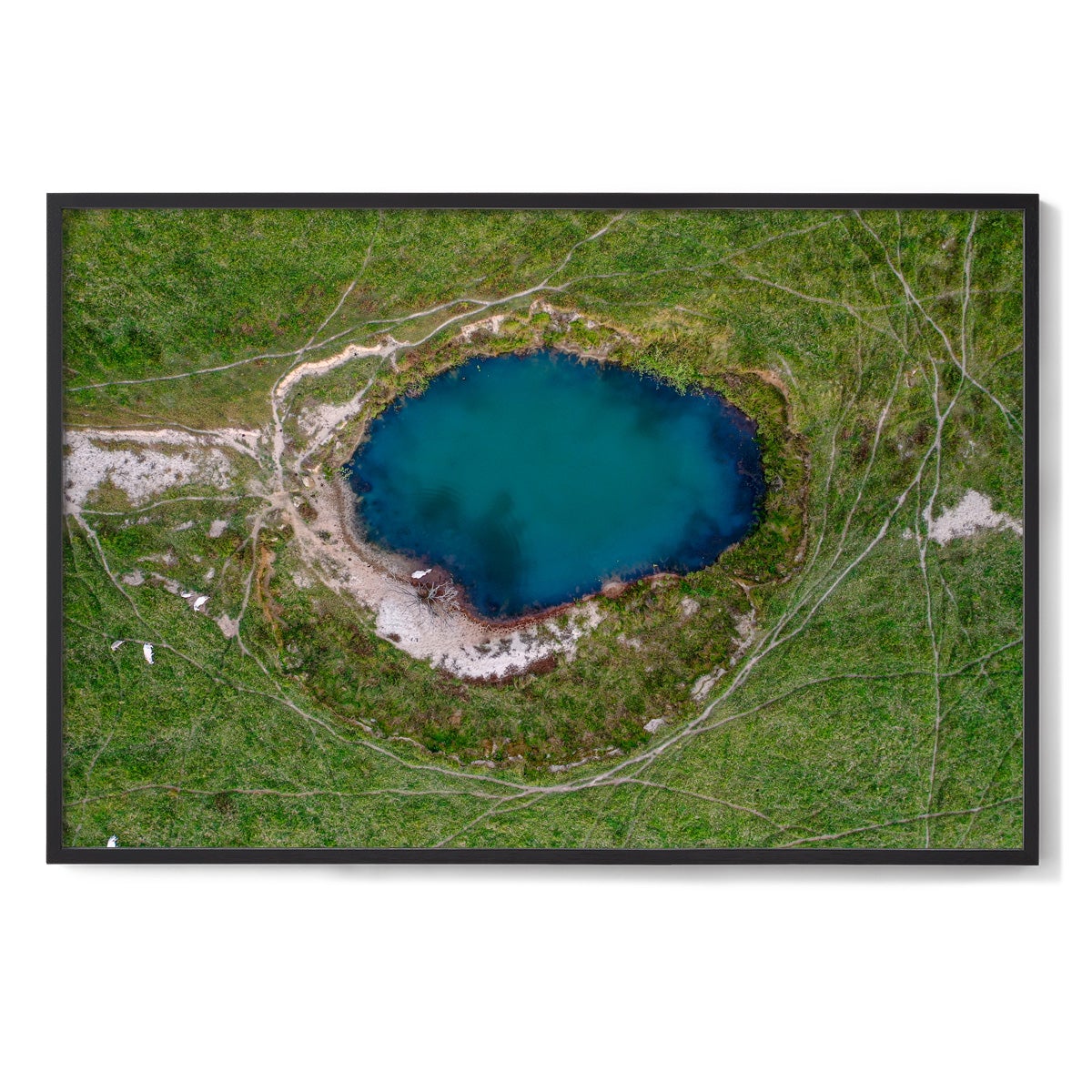 Watering Hole - Framed Print