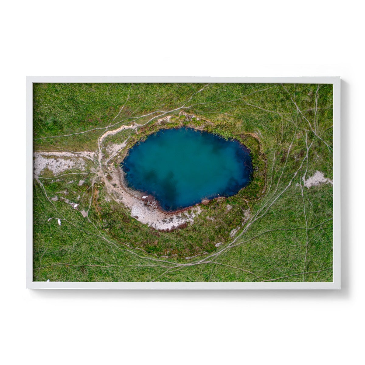 Watering Hole - Framed Print