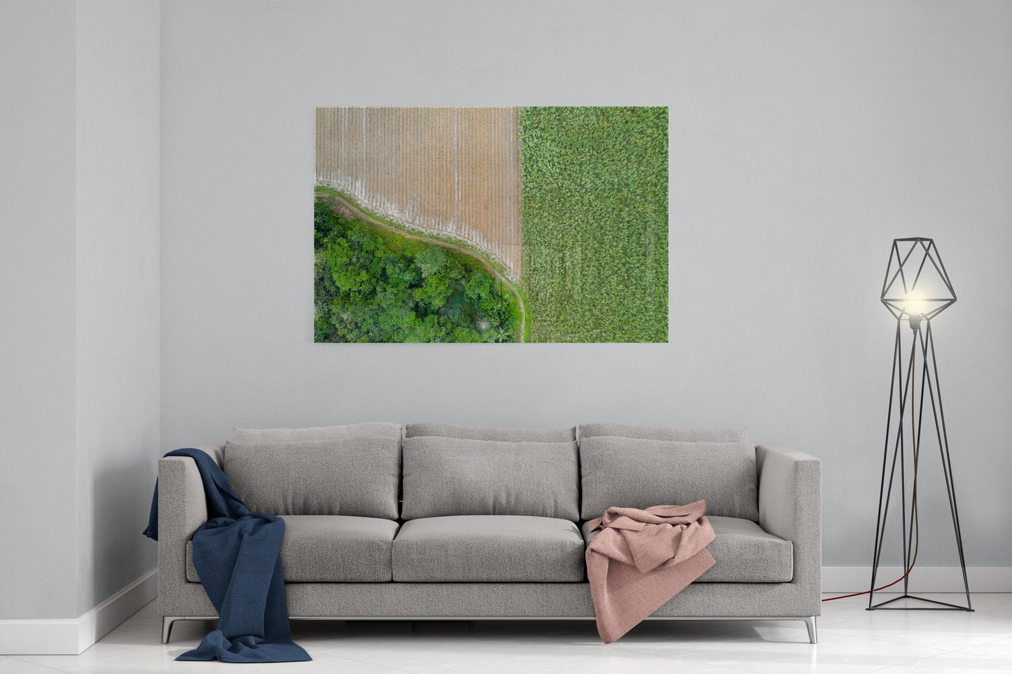 Cane Fields of Miallo Village #1 - Acrylic Print