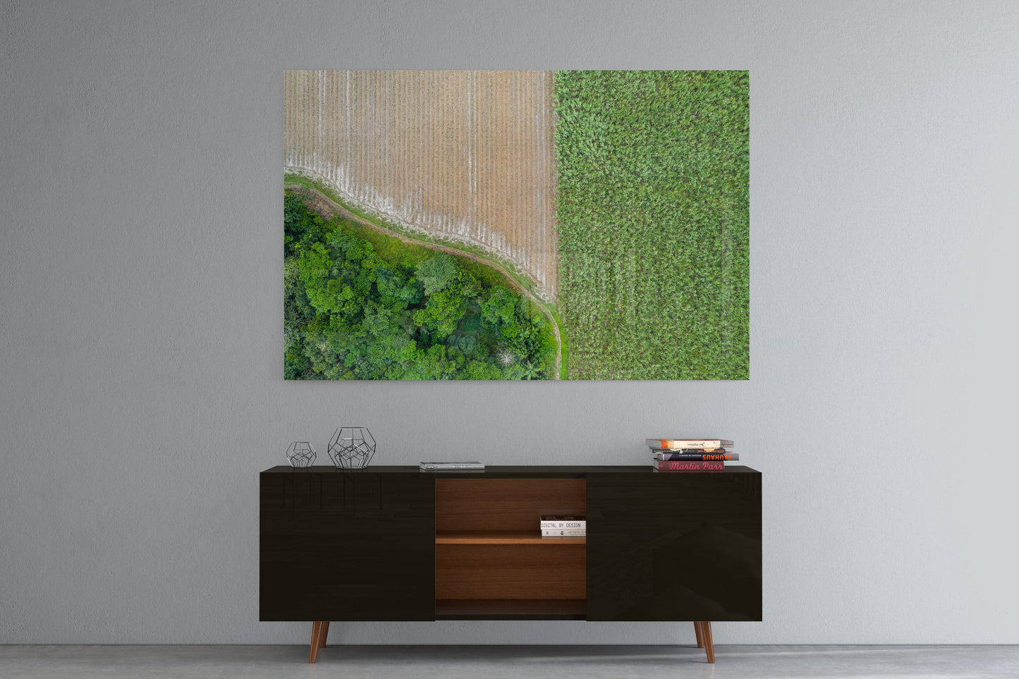 Cane Fields of Miallo Village #1 - Acrylic Print