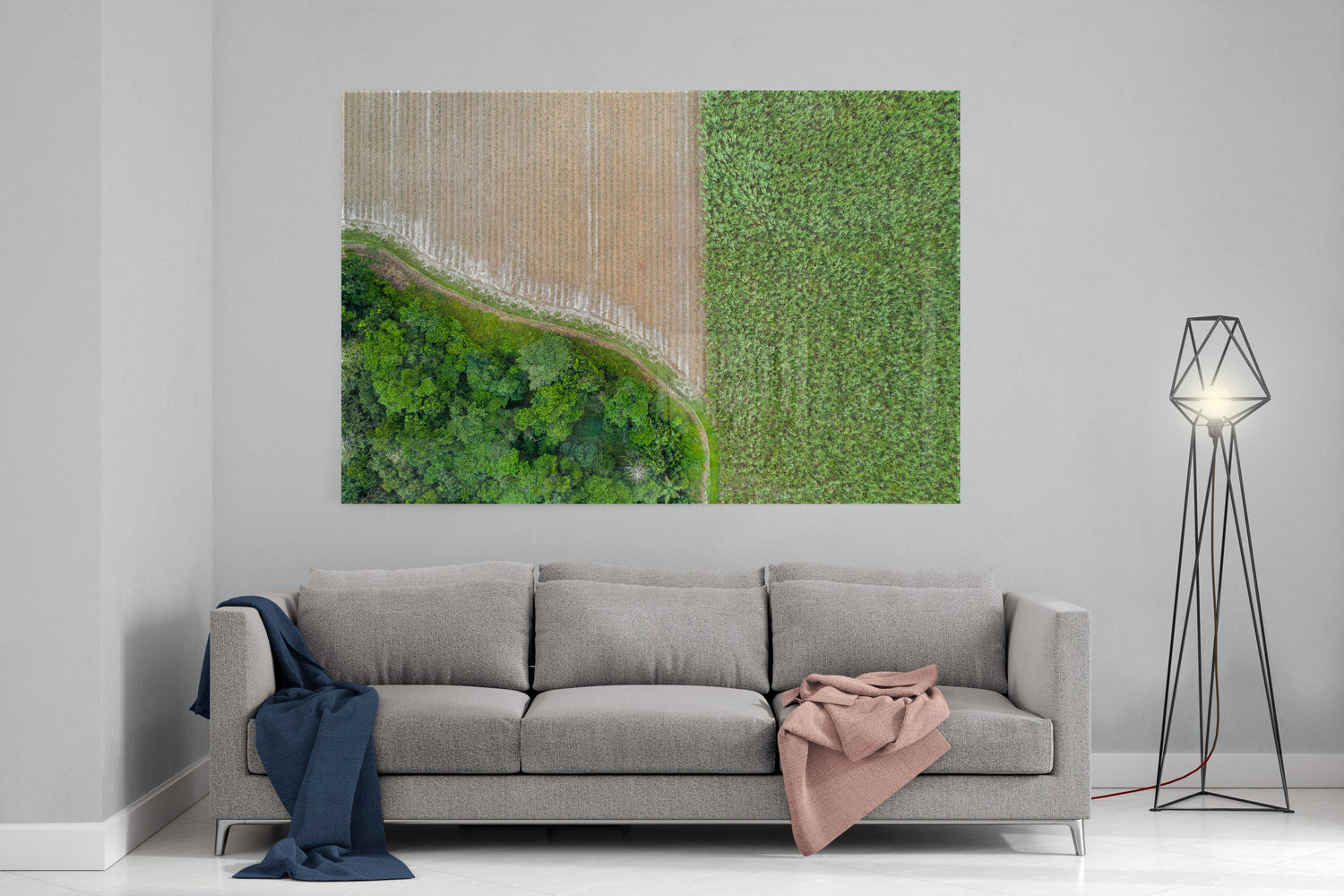 Cane Fields of Miallo Village #1 - Acrylic Print