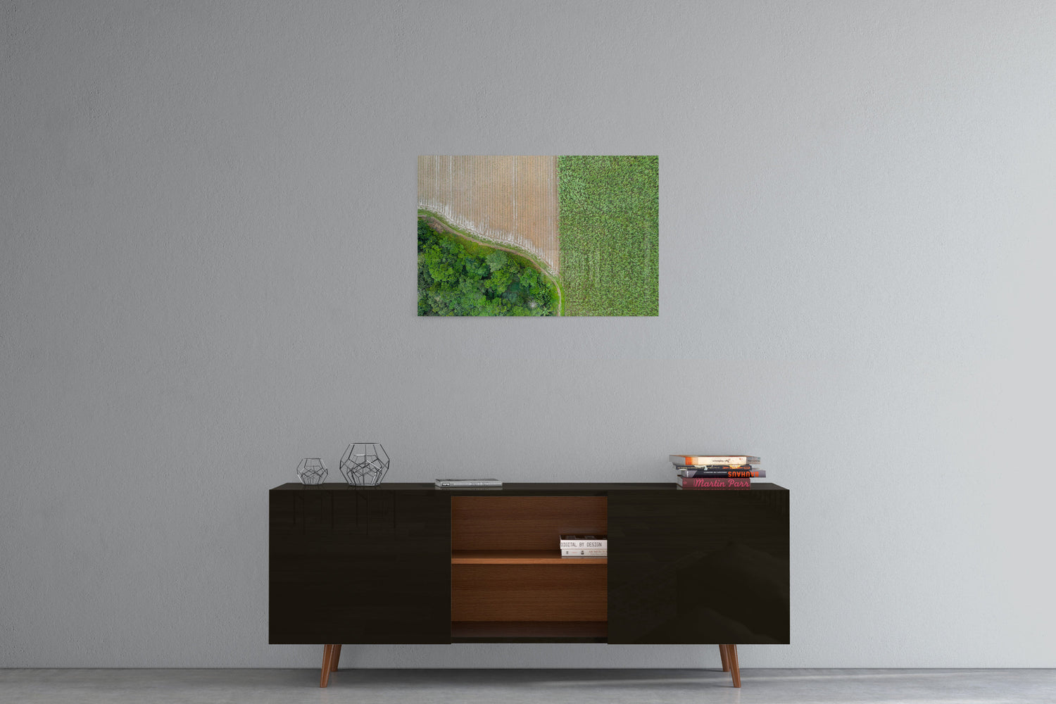 Cane Fields of Miallo Village #1 - Acrylic Print