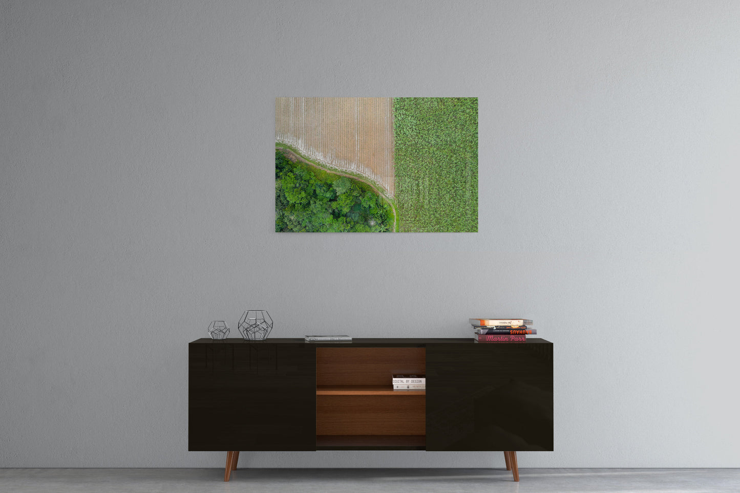 Cane Fields of Miallo Village #1 - Acrylic Print