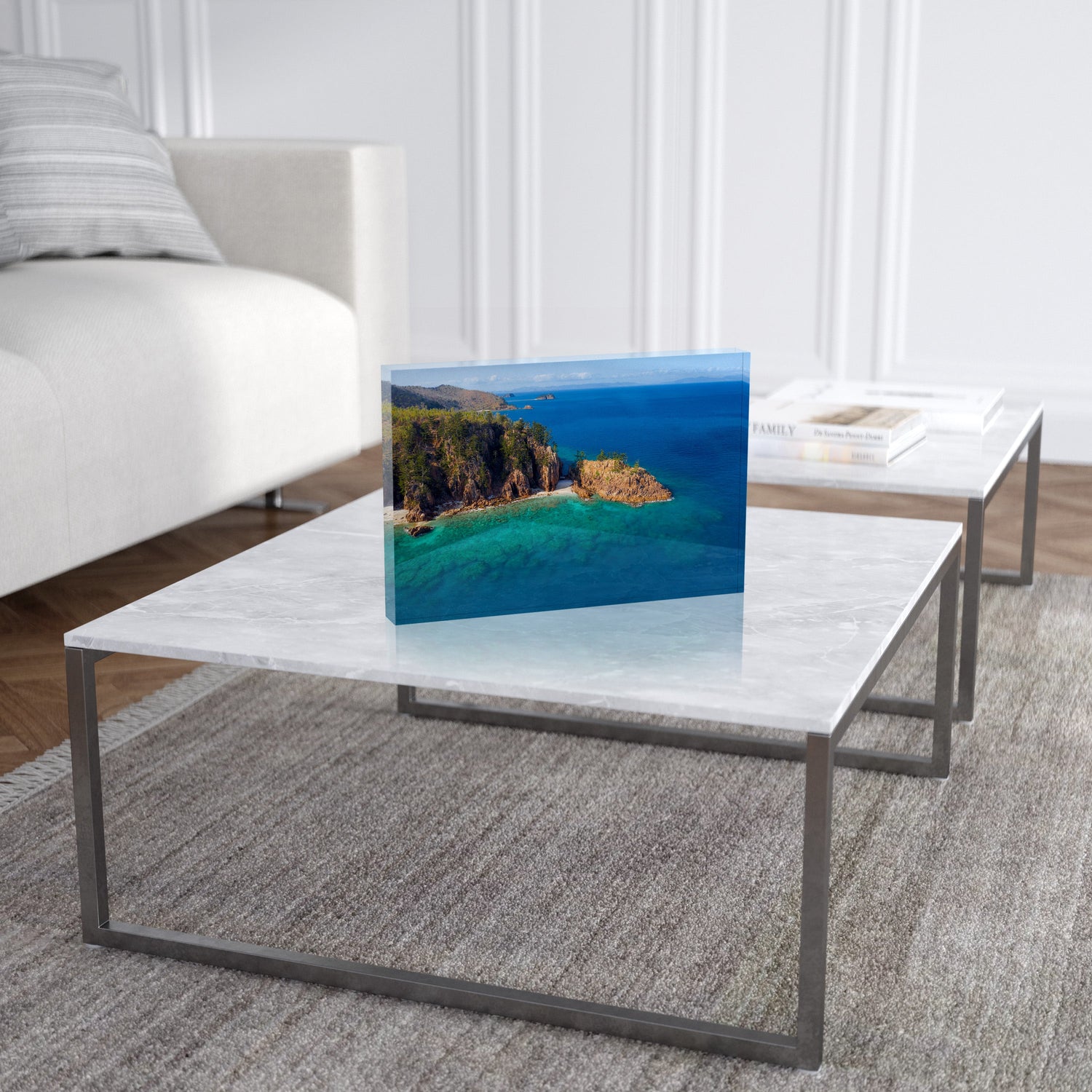 Dolphin Point View - Acrylic ICE Block