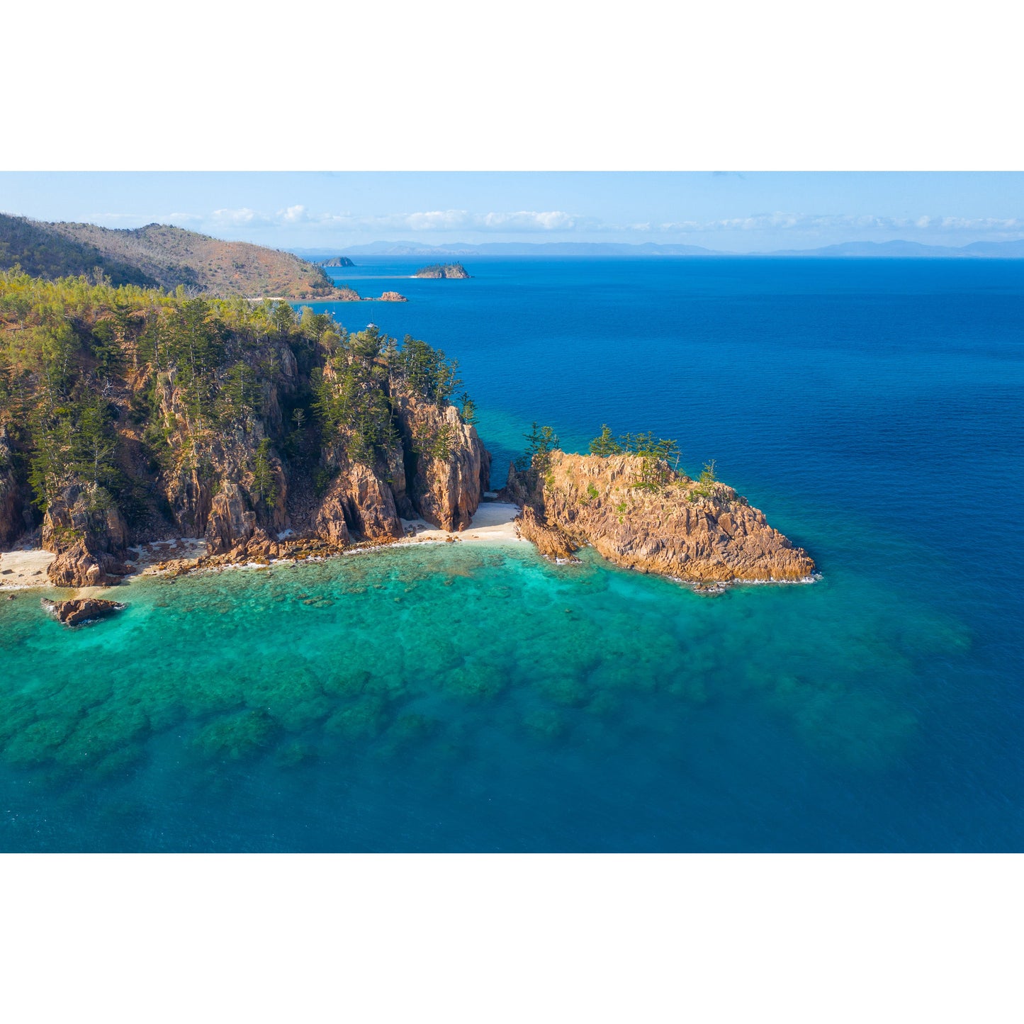 Dolphin Point View - Acrylic Print