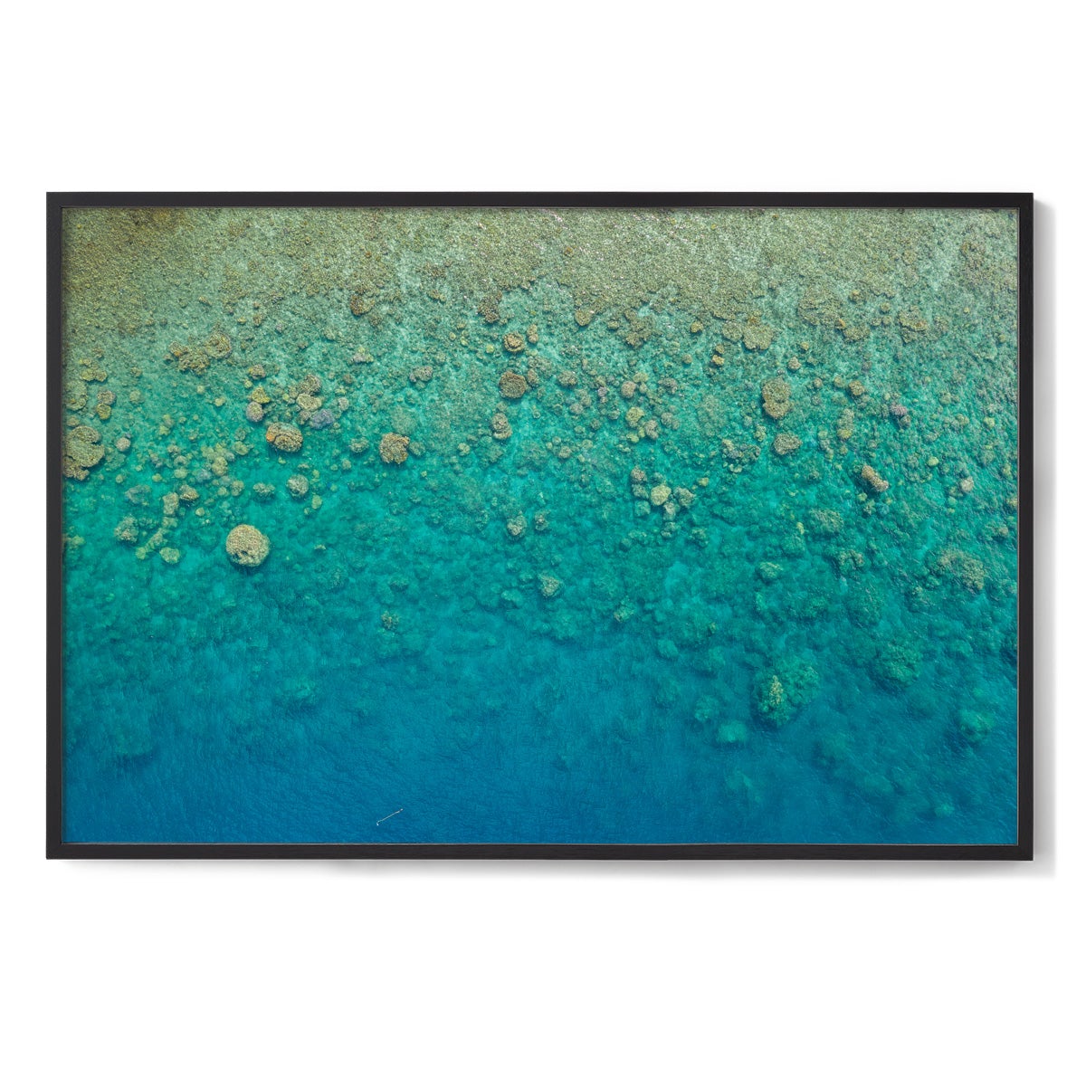 Blue Pearl Bay Coral - Framed Print