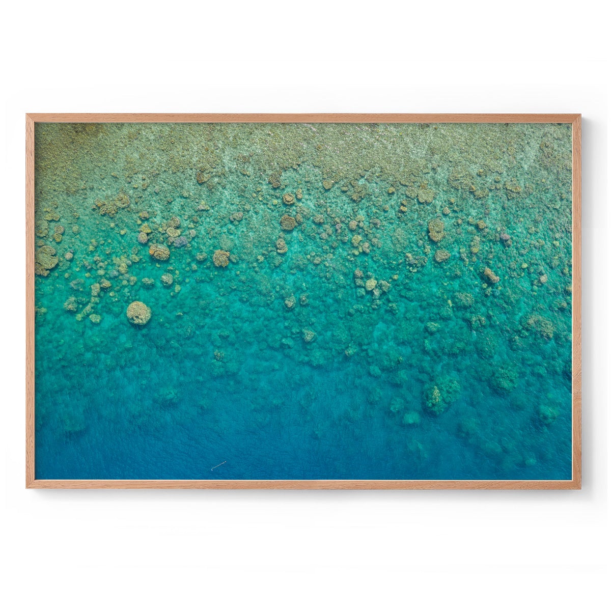 Blue Pearl Bay Coral - Framed Print