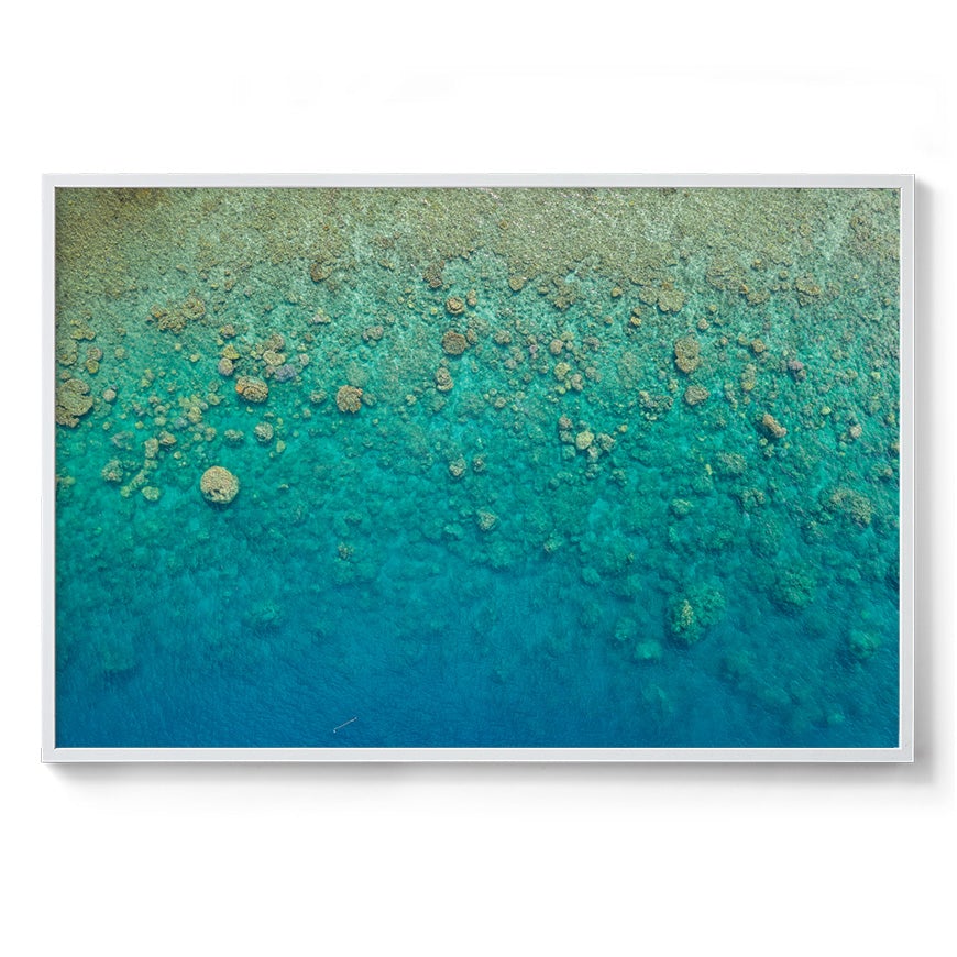 Blue Pearl Bay Coral - Framed Print