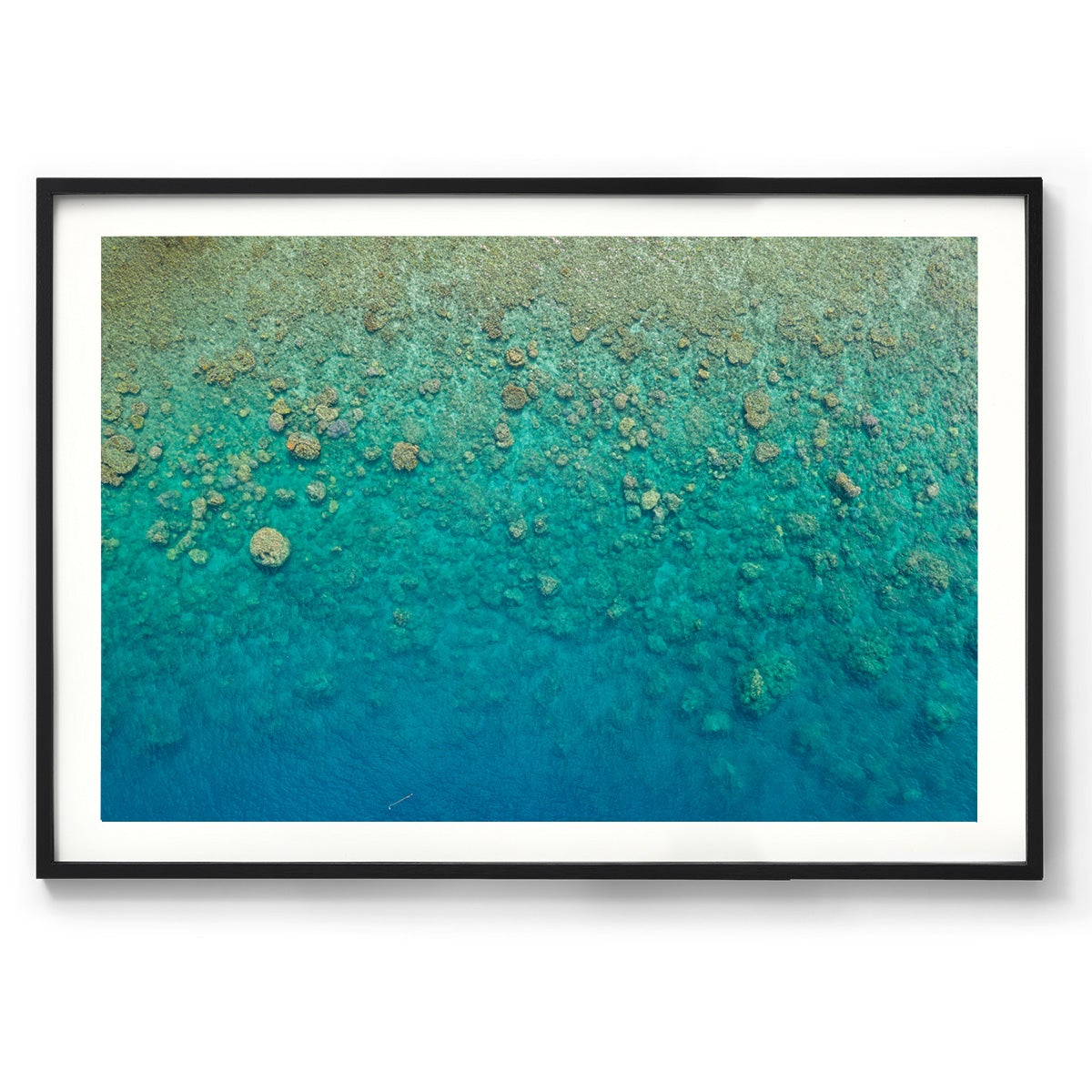 Blue Pearl Bay Coral - Framed Print