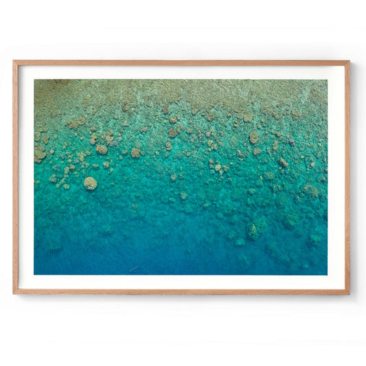 Blue Pearl Bay Coral - Framed Print