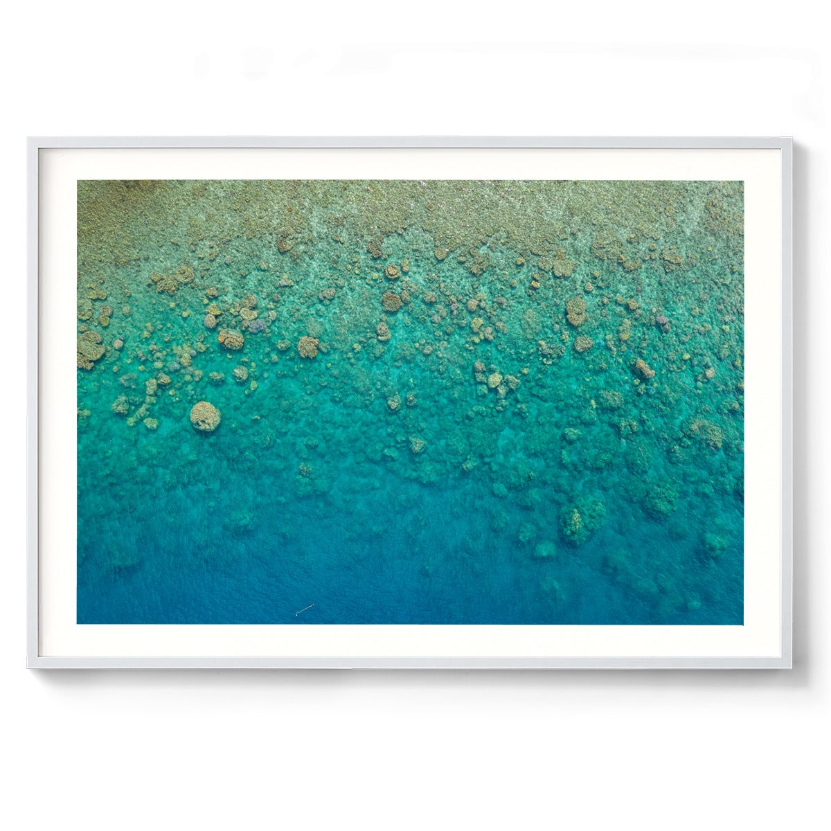 Blue Pearl Bay Coral - Framed Print