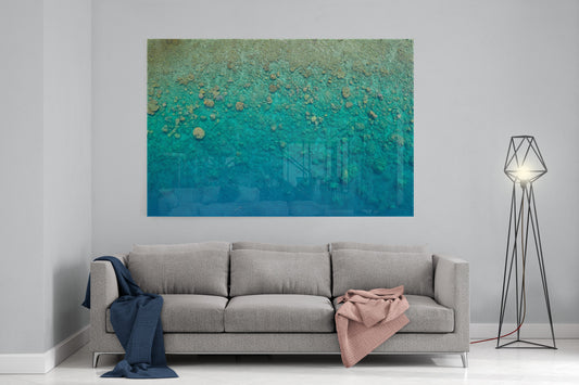 Blue Pearl Bay Coral - Acrylic Print