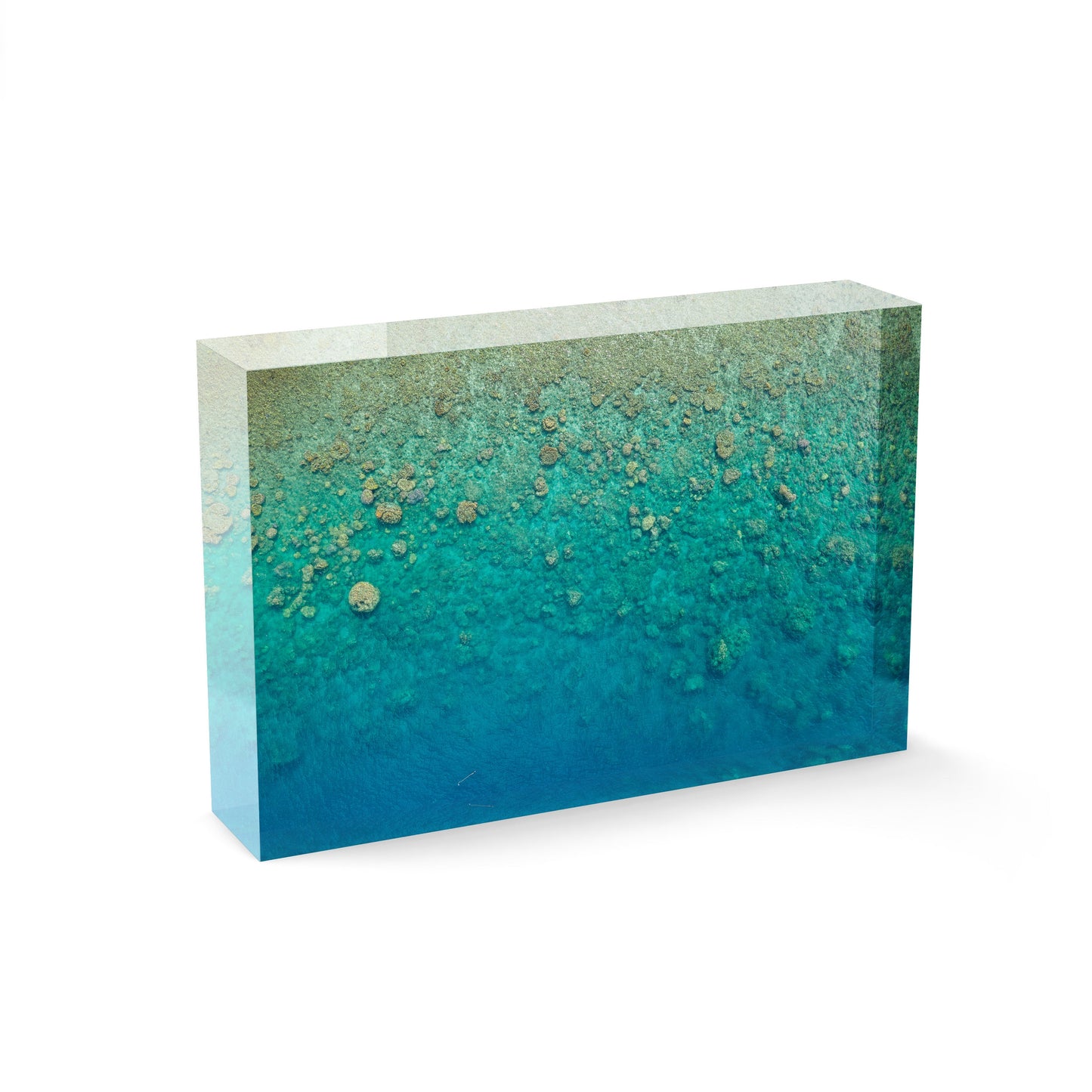 Blue Pearl Bay Coral - Acrylic ICE Block